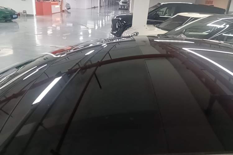 Used Tesla Model 3 2021 Revised Version II – Performance High-Performance All-Wheel-Drive Edition Roof