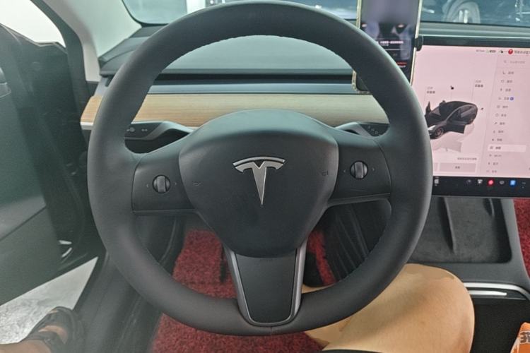 Used Tesla Model 3 2021 Revised Version II – Performance High-Performance All-Wheel-Drive Edition Steering Wheel