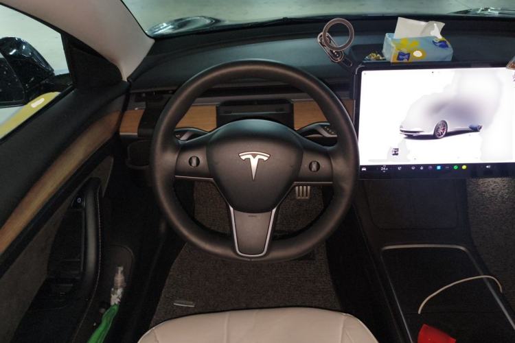 Used Tesla Model 3 2021 Revised Version II – Performance High-Performance All-Wheel-Drive Edition Steering Wheel