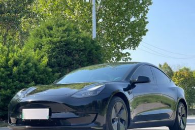 Used Tesla Model 3 2021 Standard Range Rear-Drive Upgraded Version