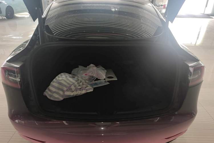 Used Tesla Model 3 2021 Standard Range Rear-Wheel Drive Upgraded Version 3D6 Trunk