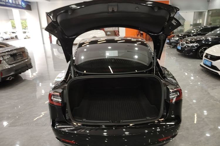 Used Tesla Model 3 2021 Standard Range Rear-Wheel Drive Upgraded Version 3D6 Trunk