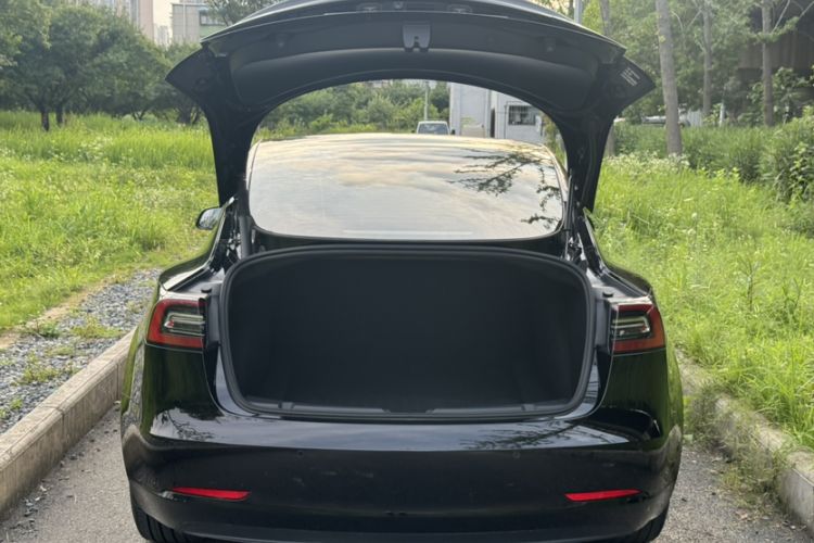 Used Tesla Model 3 2021 Standard Range Rear-Wheel Drive Upgraded Version 3D6 Trunk