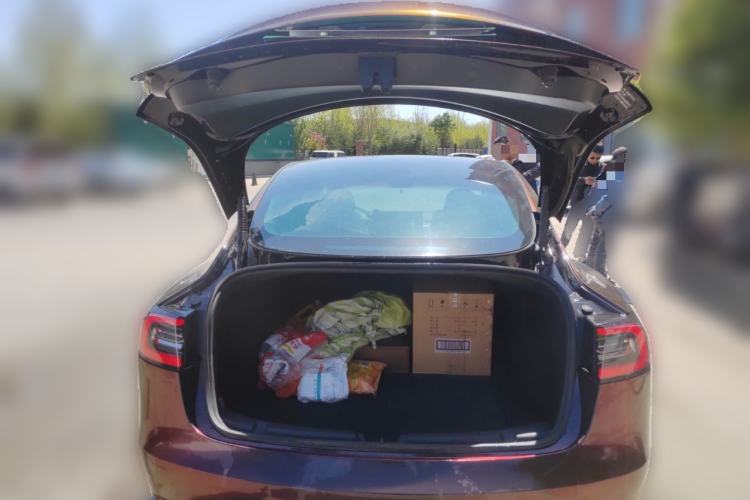 Used Tesla Model 3 2021 Standard Range Rear-Drive Upgraded Version