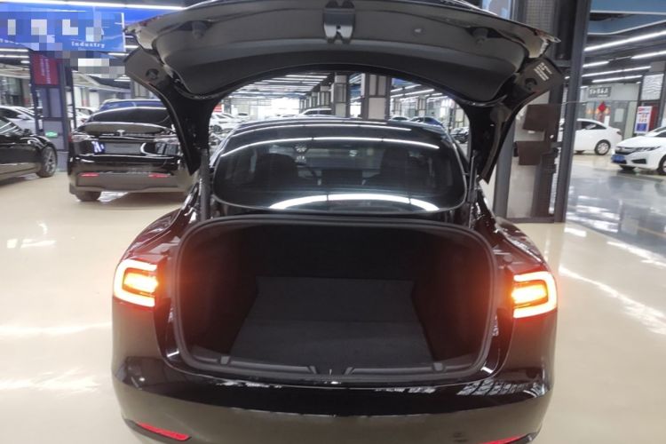 Used Tesla Model 3 2021 Standard Range Rear-Wheel Drive Upgraded Version 3D6 Trunk