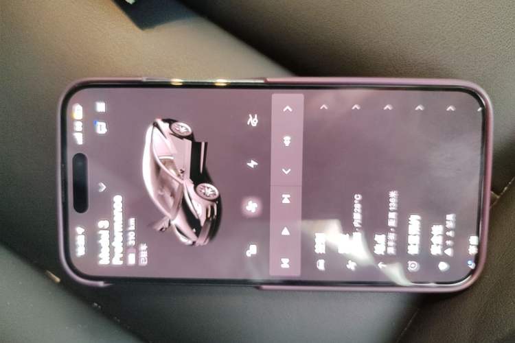 Used Tesla Model 3 2021 Revised Performance Version with All-Wheel Drive 3D1 Vehicle Key
