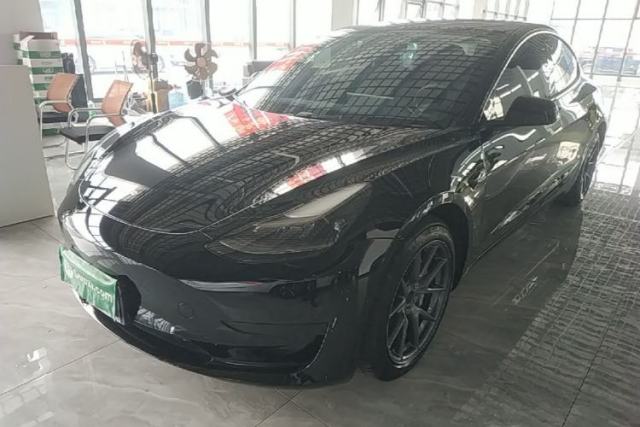 Tesla Model 3 2021 Standard Range Rear-Wheel Drive Upgraded Version 3D6 usata