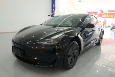 Used Tesla Model 3 2021 Revised Version Standard Range Rear-Wheel Drive Upgraded Edition 3D1