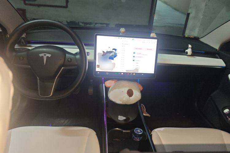 Used Tesla Model 3 2021 Standard Range Rear-Drive Upgraded Version Center Console