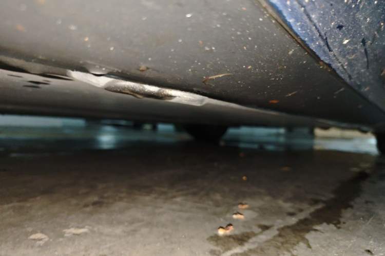 Used Tesla Model 3 2021 Standard Range Rear-Wheel Drive Upgraded Version 3D6 Chassis Front Left