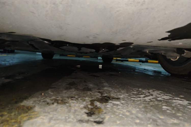 Used Tesla Model 3 2021 Standard Range Rear-Wheel Drive Upgraded Version 3D6 Chassis Rear