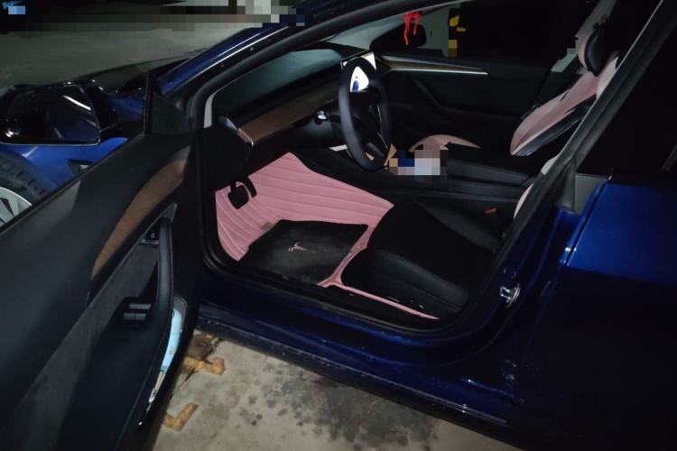 Used Tesla Model 3 2021 Standard Range Rear-Drive Upgraded Version Driver Seat