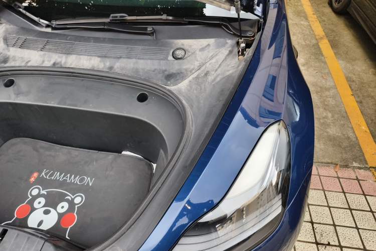 Used Tesla Model 3 2021 Revised Version Standard Range Rear-Wheel Drive Upgraded Edition 3D1 Engine Bay Left