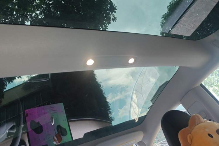 Used Tesla Model 3 2021 Standard Range Rear-Drive Upgraded Version Headliner