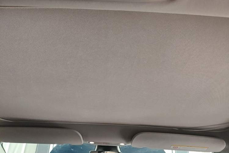 Used Tesla Model 3 2021 Standard Range Rear-Drive Upgraded Version Headliner