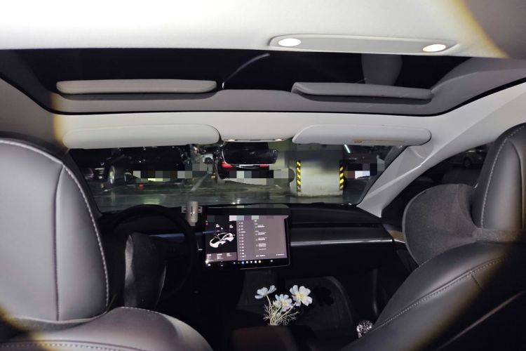 Used Tesla Model 3 2021 Standard Range Rear-Drive Upgraded Version Headliner