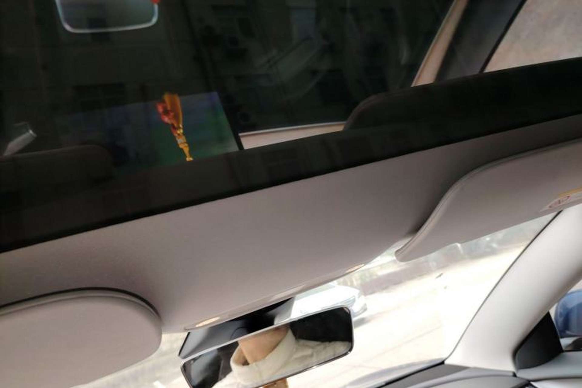 Used Tesla Model 3 2021 Standard Range Rear-Drive Upgraded Version Headliner