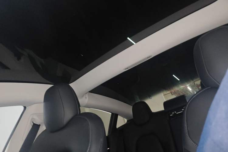 Used Tesla Model 3 2021 Revised Version Standard Range Rear-Wheel Drive Upgraded Edition 3D1 Headliner
