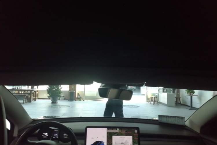 Used Tesla Model 3 2021 Performance High-Performance All-Wheel-Drive Version Headliner