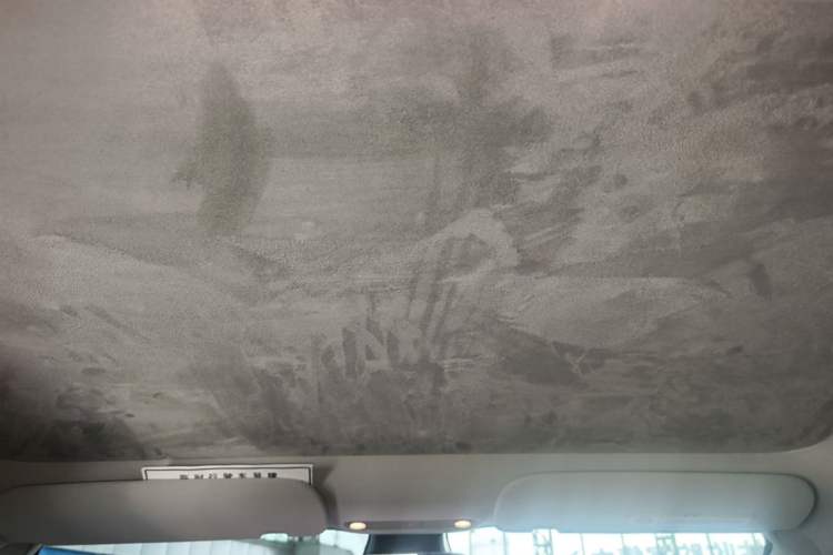Used Tesla Model 3 2021 Standard Range Rear-Wheel Drive Upgraded Version 3D6 Headliner