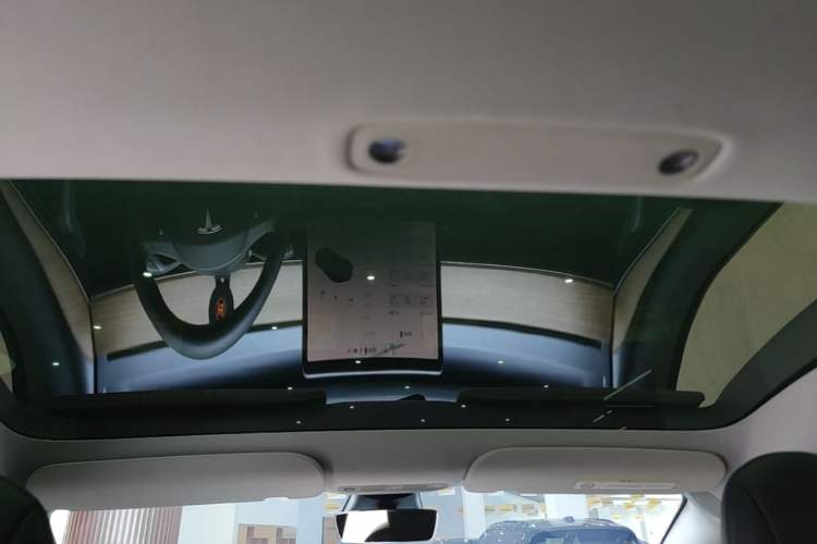 Used Tesla Model 3 2021 Performance High-Performance All-Wheel-Drive Version Headliner