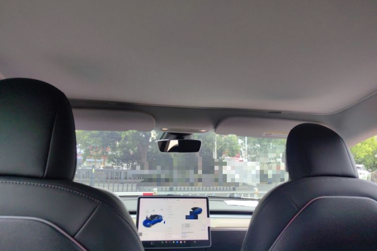 Used Tesla Model 3 2021 Performance High-Performance All-Wheel-Drive Version Headliner