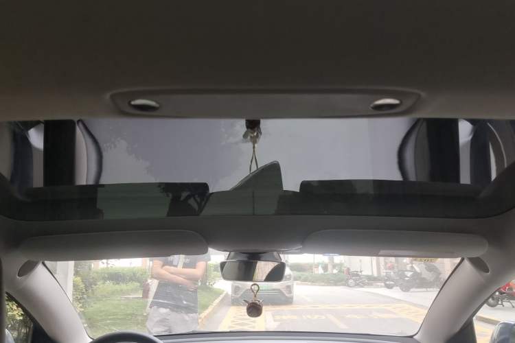 Used Tesla Model 3 2021 Performance High-Performance All-Wheel-Drive Version 3D6 Headliner