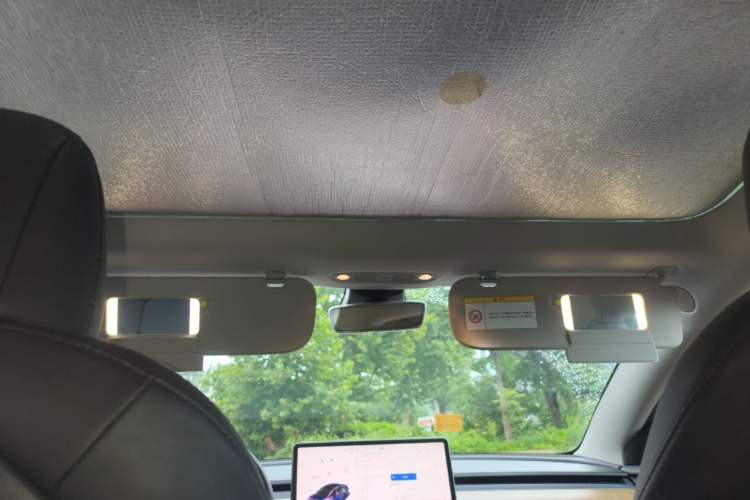 Used Tesla Model 3 2021 Standard Range Rear-Wheel Drive Upgraded Version 3D6 Headliner