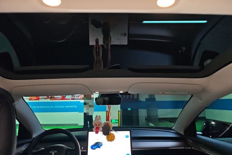 Used Tesla Model 3 2021 Standard Range Rear-Drive Upgraded Version Headliner