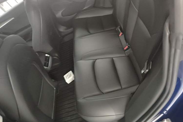 Used Tesla Model 3 2021 Performance High-Performance All-Wheel-Drive Version Left Rear Seat