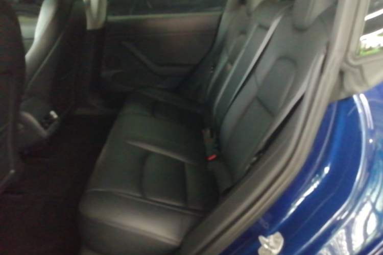 Used Tesla Model 3 2021 Performance High-Performance All-Wheel-Drive Version Left Rear Seat