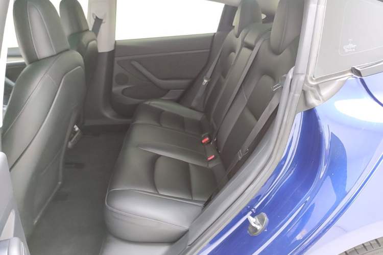 Used Tesla Model 3 2021 Performance High-Performance All-Wheel-Drive Version Left Rear Seat