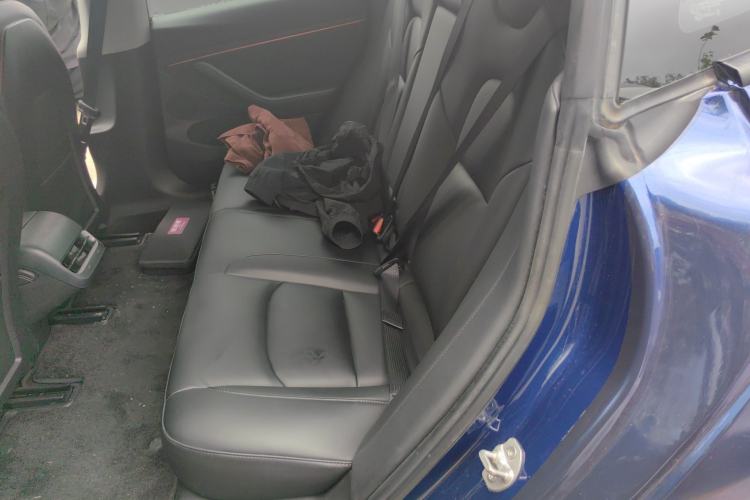 Used Tesla Model 3 2021 Performance High-Performance All-Wheel-Drive Version Left Rear Seat