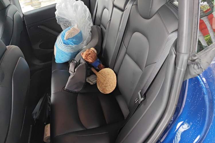 Used Tesla Model 3 2021 Performance High-Performance All-Wheel-Drive Version 3D6 Left Rear Seat