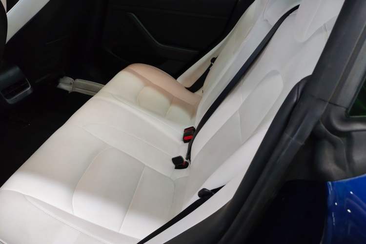 Used Tesla Model 3 2021 Standard Range Rear-Wheel Drive Upgraded Version 3D6 Left Rear Seat