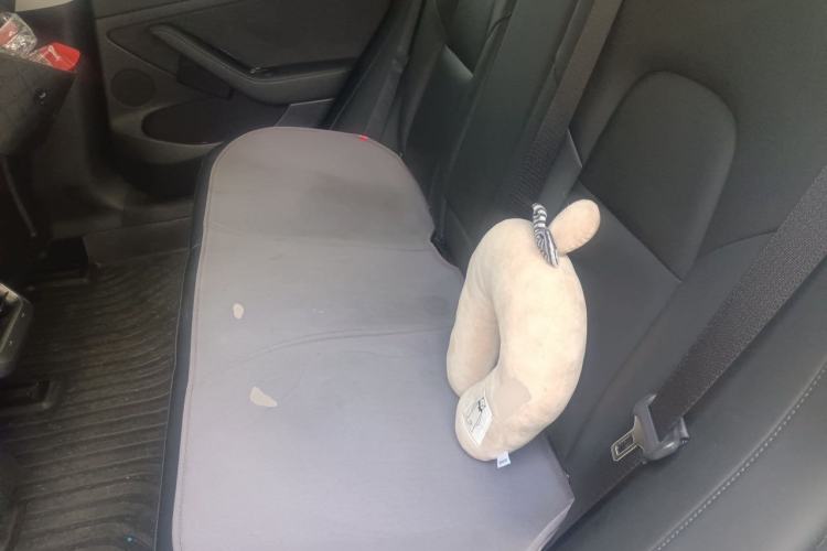 Used Tesla Model 3 2021 Standard Range Rear-Drive Upgraded Version Left Rear Seat