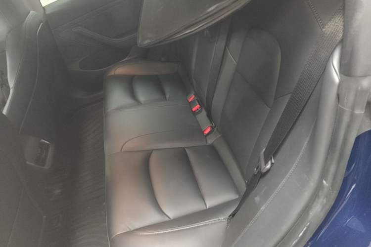 Used Tesla Model 3 2021 Standard Range Rear-Drive Upgraded Version Left Rear Seat
