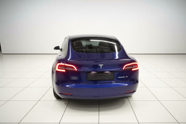 Used Tesla Model 3 2021 Standard Range Rear-Wheel Drive Upgraded Version 3D6 Rear