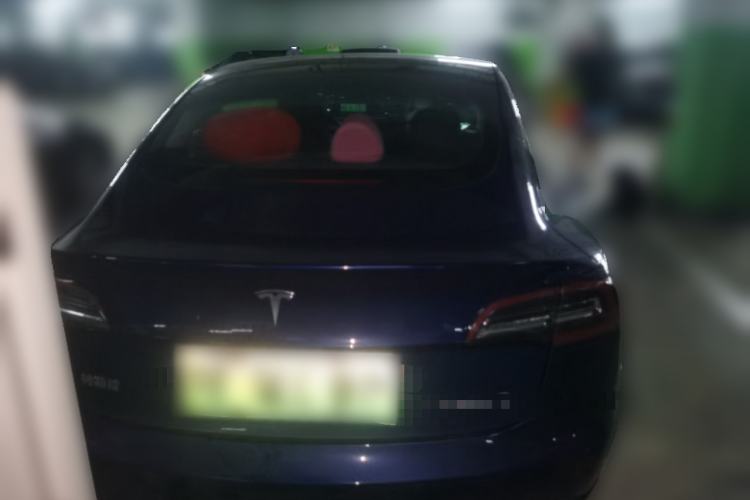 Used Tesla Model 3 2021 Revised Version Standard Range Rear-Wheel Drive Upgraded Edition 3D1 Rear