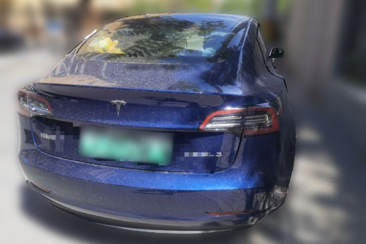 Used Tesla Model 3 2021 Revised Version Standard Range Rear-Wheel Drive Upgraded Edition 3D1 Rear