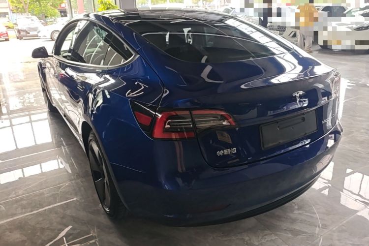 Used Tesla Model 3 2021 Standard Range Rear-Drive Upgraded Version Rear Left 45 Deg