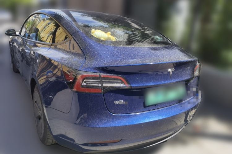 Used Tesla Model 3 2021 Revised Version Standard Range Rear-Wheel Drive Upgraded Edition 3D1 Rear Left 45 Deg