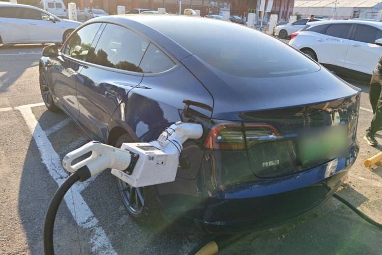 Used Tesla Model 3 2021 Standard Range Rear-Drive Upgraded Version Rear Left 45 Deg