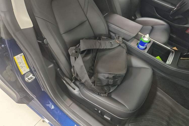 Used Tesla Model 3 2021 Standard Range Rear-Drive Upgraded Version Right Front Seat