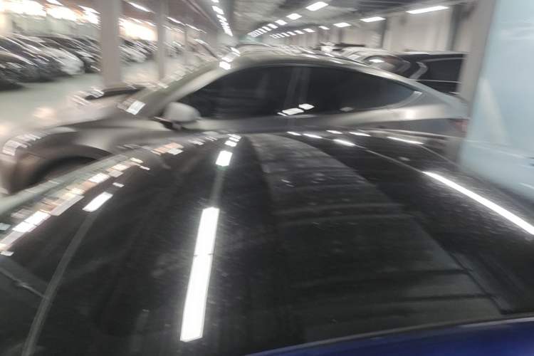 Used Tesla Model 3 2021 Standard Range Rear-Wheel Drive Upgraded Version 3D6 Roof