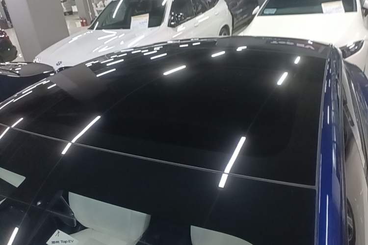 Used Tesla Model 3 2021 Standard Range Rear-Drive Upgraded Version Roof
