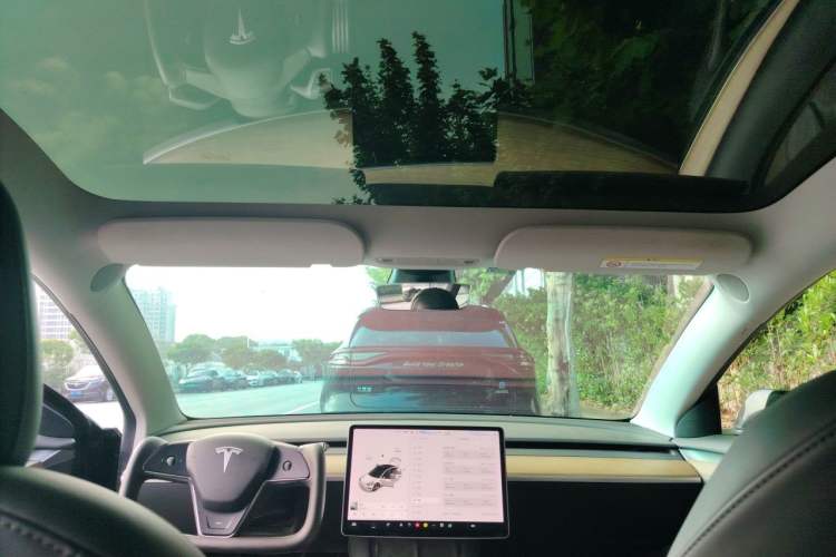 Used Tesla Model 3 2021 Performance High-Performance All-Wheel-Drive Version Headliner