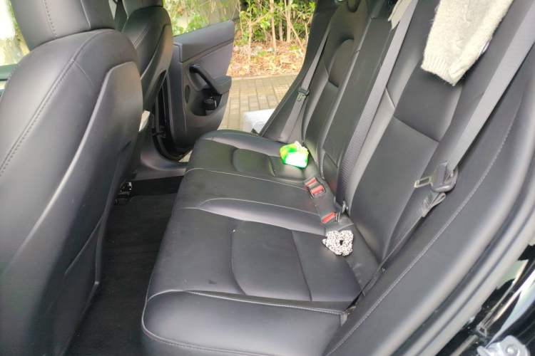 Used Tesla Model 3 2021 Performance High-Performance All-Wheel-Drive Version Left Rear Seat