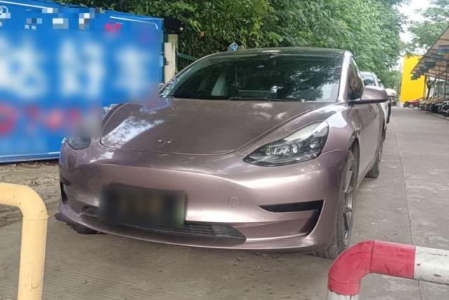 Used Tesla Model 3 2021 Revised Version Standard Range Rear-Wheel Drive Upgraded Edition 3D1
