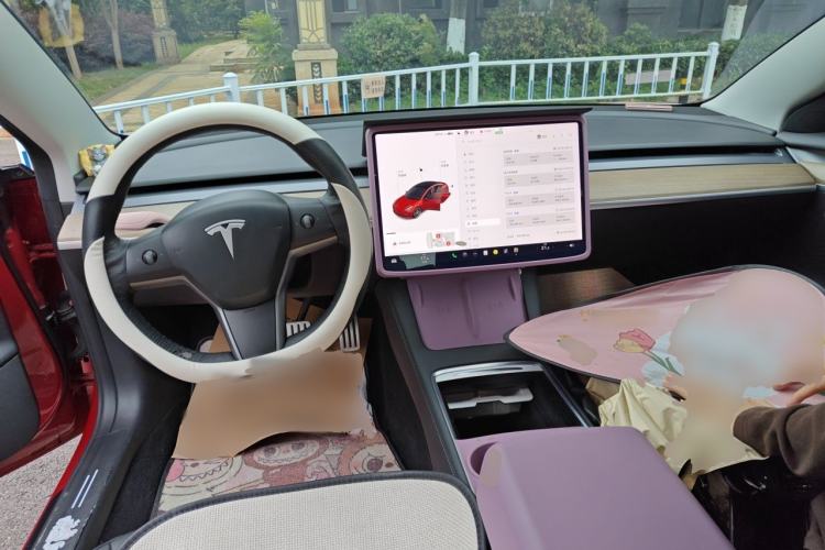Used Tesla Model 3 2021 Performance High-Performance All-Wheel-Drive Version Center Console